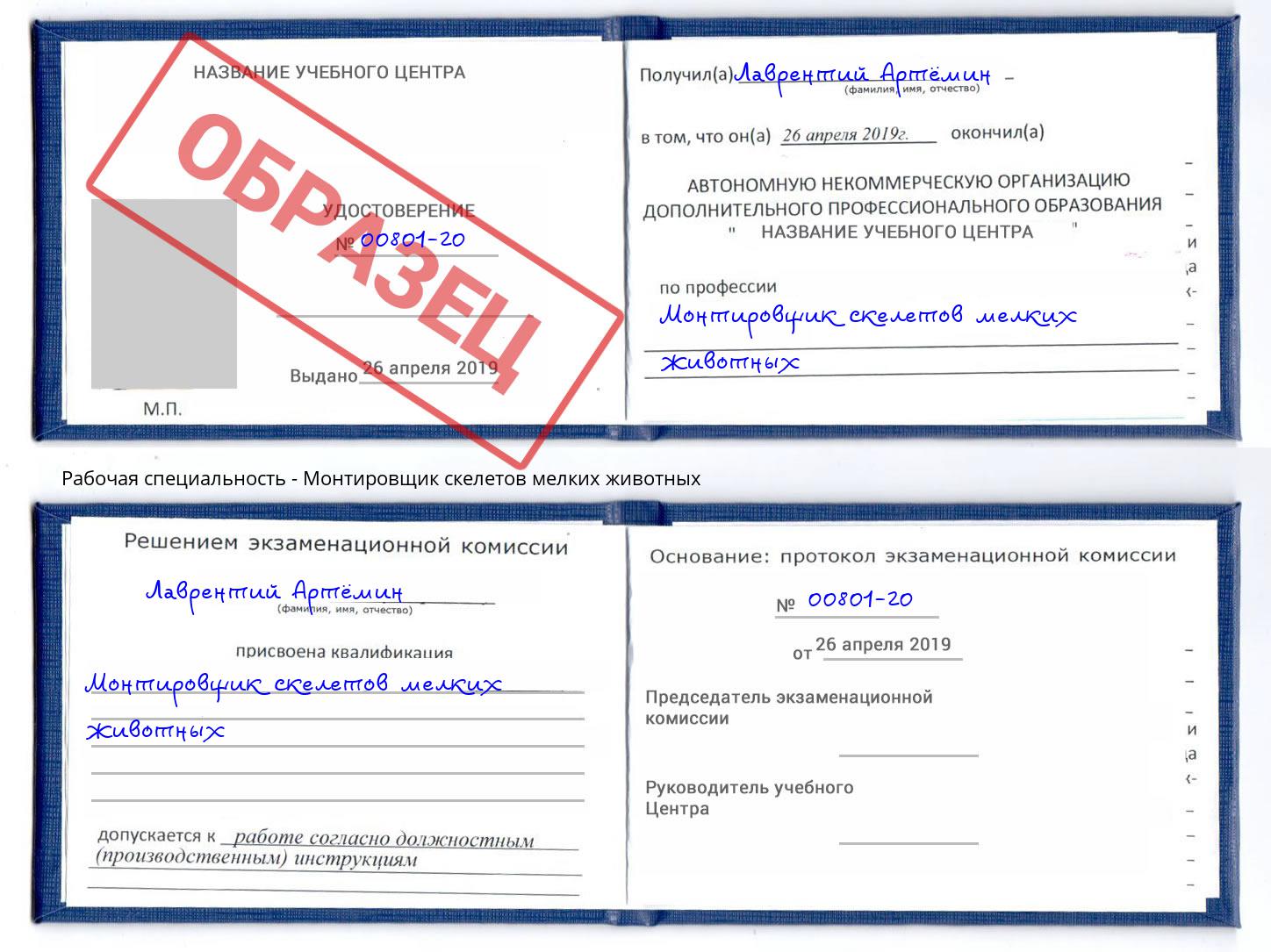 Монтировщик скелетов мелких животных Муравленко